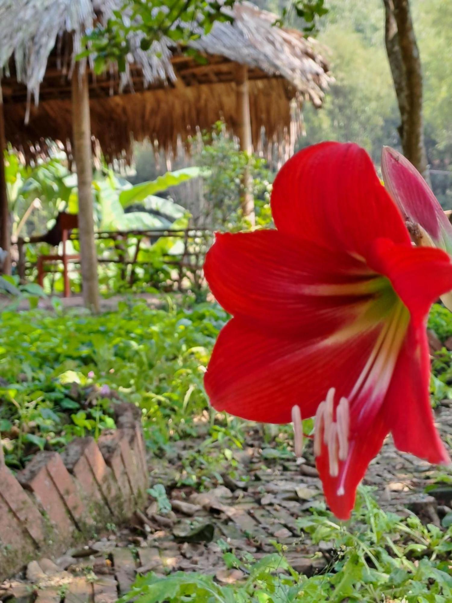 Muong Bi Homestay Hoa Binh Exterior photo